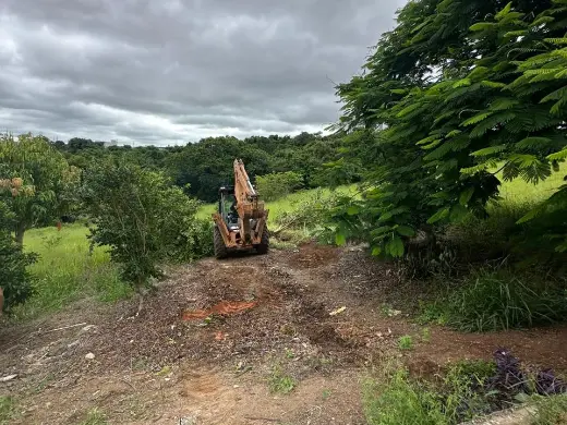 Retroescavadeira abrindo acesso em área com vegetação densa